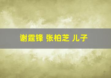 谢霆锋 张柏芝 儿子